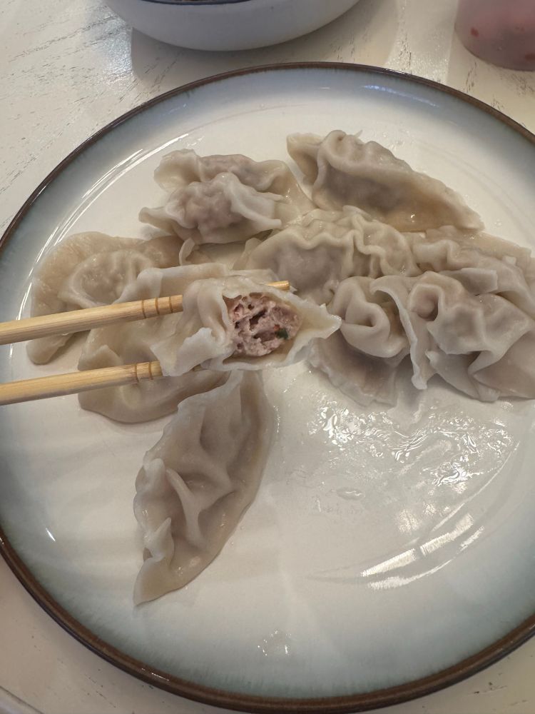 Plate of homemade pork and chive dumplings