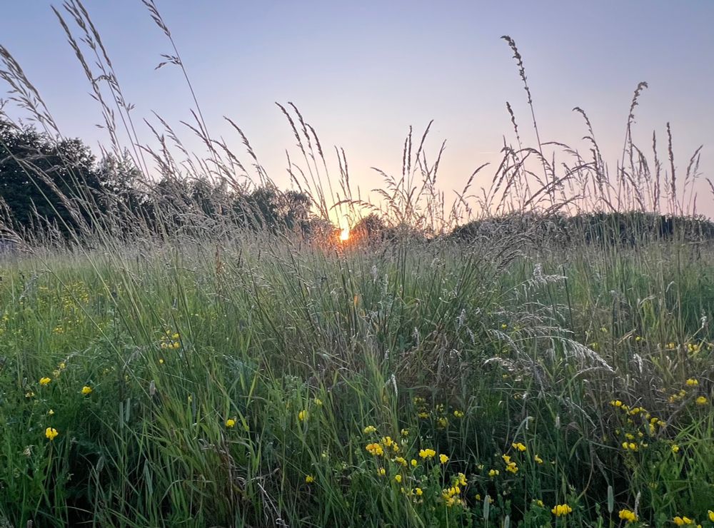 Sunset on summer solstice