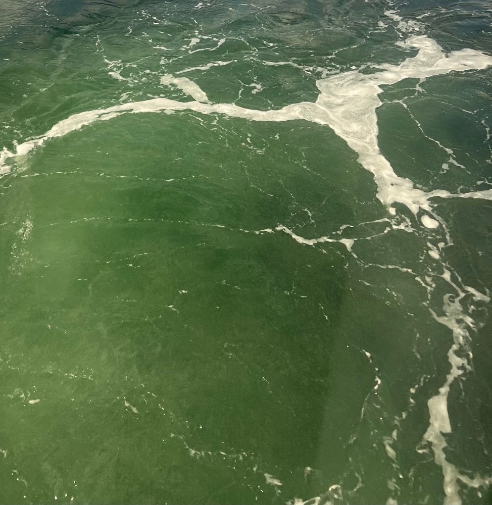 Green water with highlights