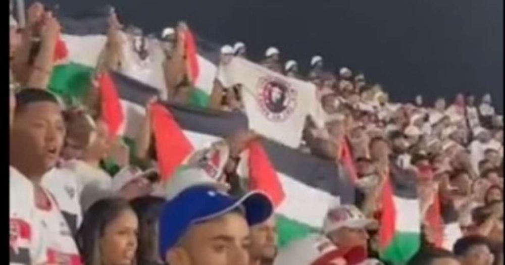 Torcedores do São Paulo levantam bandeira da Palestina em jogo no Morumbi