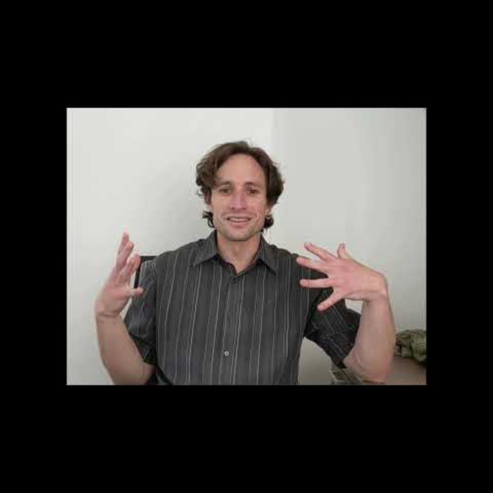 5 Minute Fellow - Henry Schiller