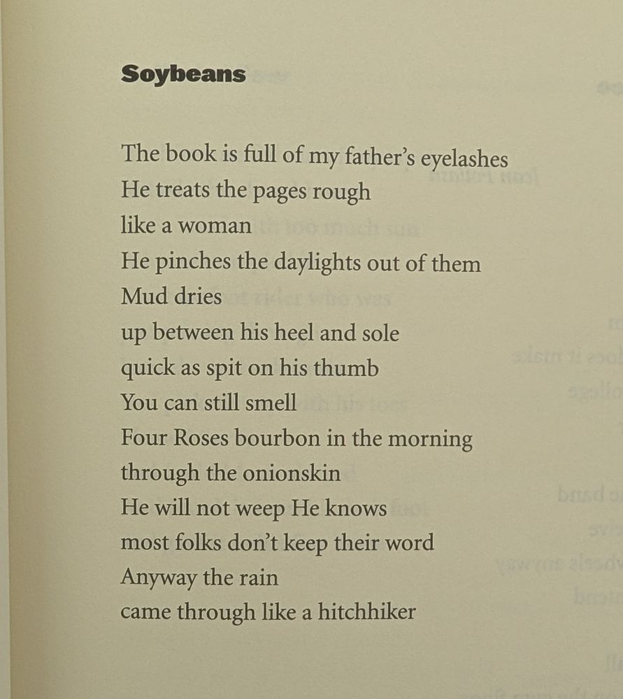 Soybeans

The book is full of my father's eyelashes
He treats the pages rough
like a woman
He pinches the daylights out of them
Mud dries
up between his heel and sole
quick as spit on his thumb
You can still smell
Four Roses bourbon in the morning
through the onionskin
He will not weep He knows
most folks don't keep their word
Anyway the rain
came through like a hitchhiker