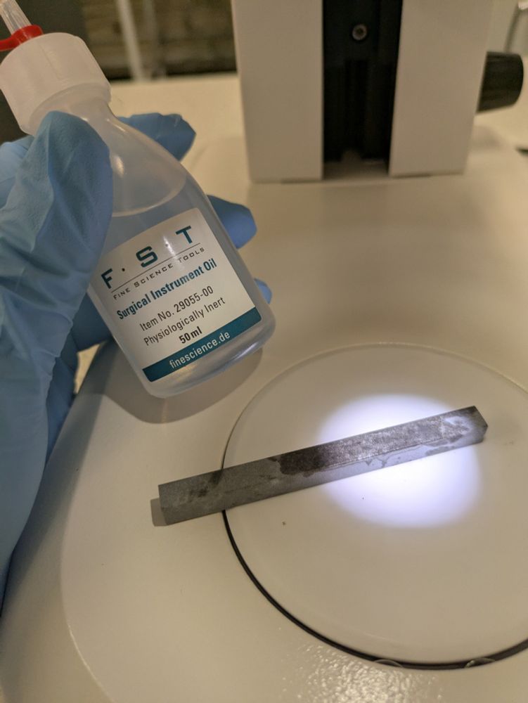 This is a second image of a bottle of oil labelled "Fine Science Tools Surgical Instrument Oil" next to a long, thin, grey whetstone that is placed on a light microscope underneath a spotlight.