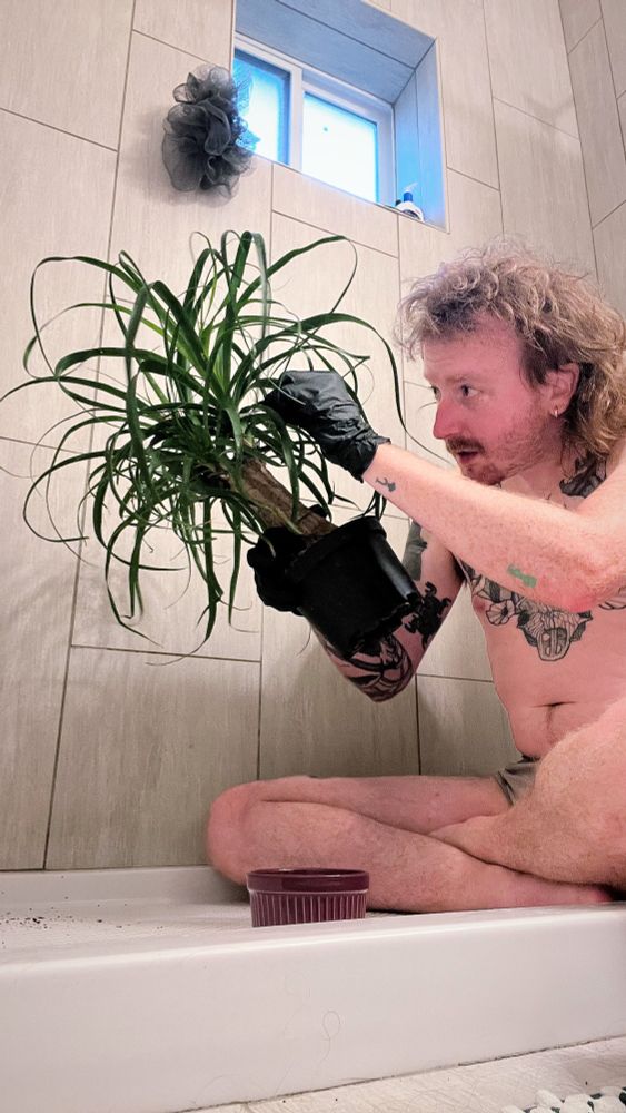 Poster sitting in a shower with black gloves on tending to the care of a plant.