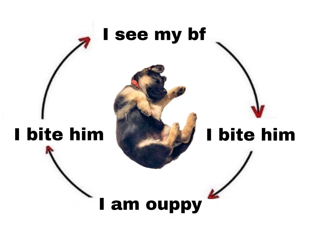Meme showing arrows pointing in a circle
 Text reads: "I see my bf, I bite him, I am ouppy, I bite him"