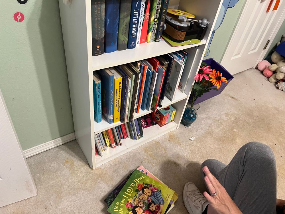 Her book shelf in her room.

A three shelf bookcase filled with books.