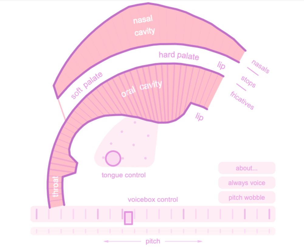 A picture of a pink cartoon mouth with a nasal cavity, oral cavity, sort palate, hard palate, lip, and tongue