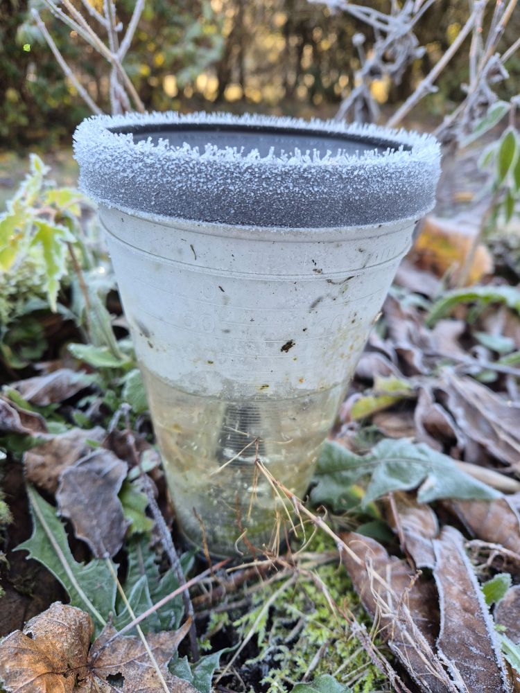 Regenmesser gefüllt mit gefrorenem Wasser und oben mit lustigen Eiskristallen