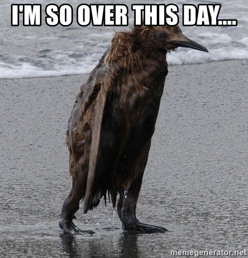 Meme en el que se ve un pingüino desarreglado y chorreando en una playa, con un mensaje arriba que pone: "i'm so over this day..."