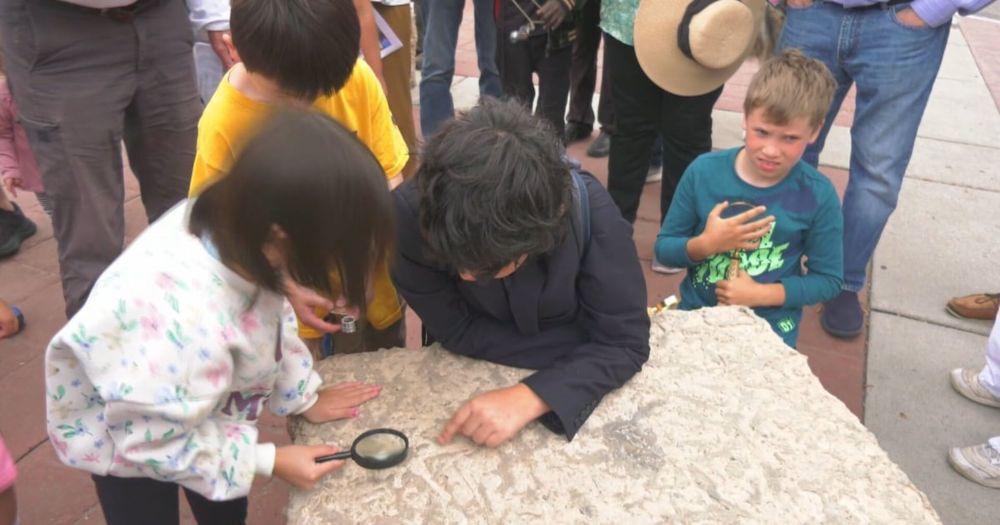 Talk about a historical tour! A retired Calgary geologist hosted a fossil discovery tour Sunday through the heart of Calgary, where he showed participants examples of fossils that were 450 million yea...