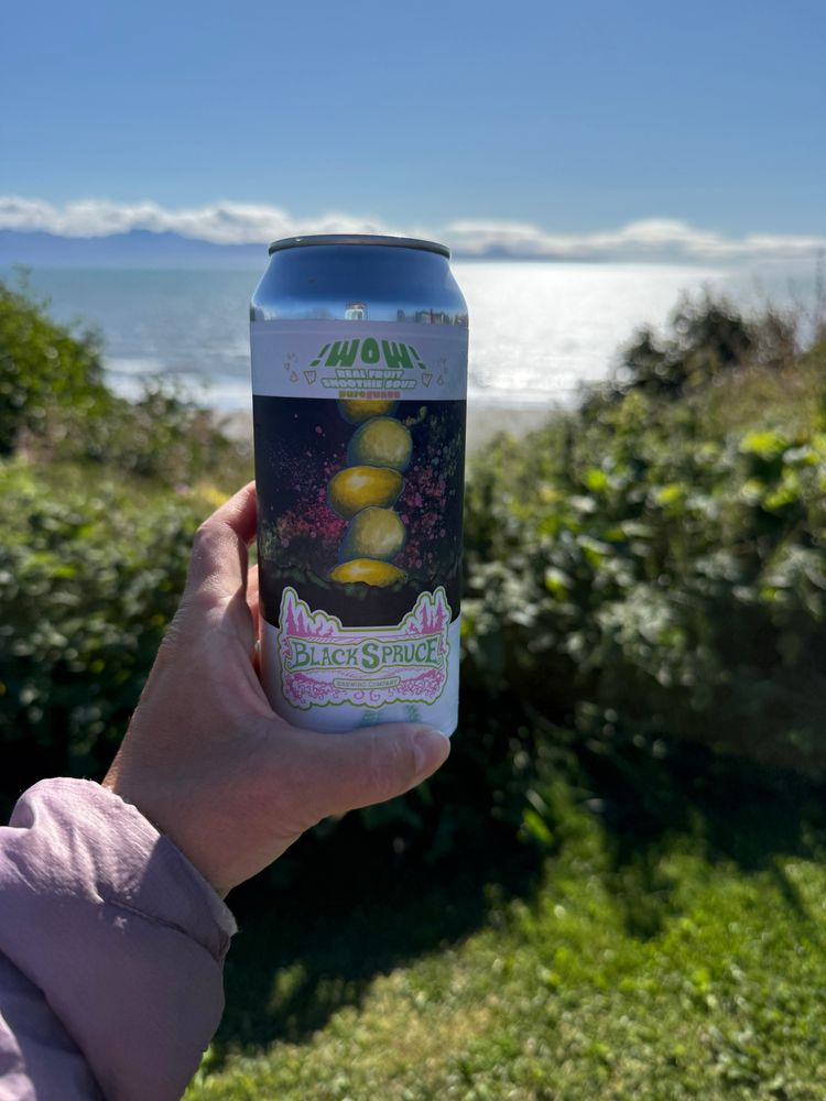Hand holding a can of Guava Sour beer from Black Spruce Brewing. 