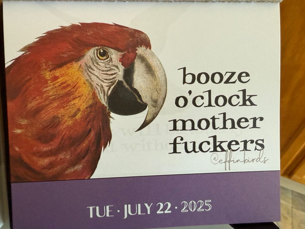 Drawn picture of a red macaw parrot for Tuesday, July 22, 2025. The caption reads: booze o’clock motherfuckers @effinbirds