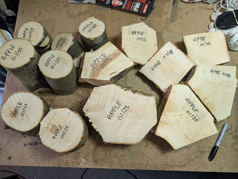 Apple wood ready to dry