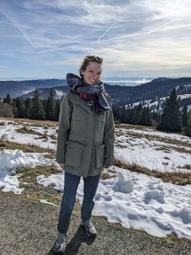 View from close to the top of the Feldberg with the Alps visible in the background 