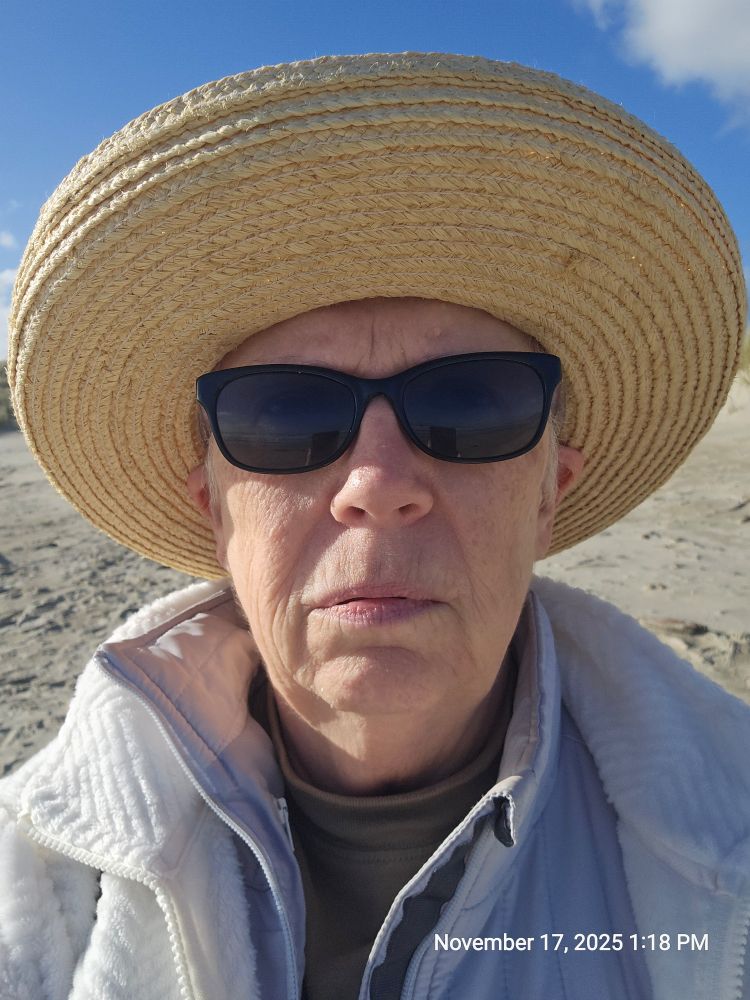 a fairly startling foto of a resting-bitch-faced white person wearing a straw hat, dark glasses, and two jackets who doesn't realize their camera is on front-facing while they're trying to take a foto of the beach 