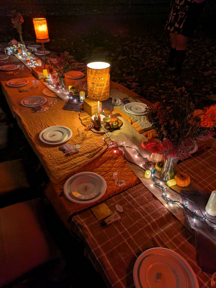 A photo taken by Bee of the outdoor friendsgiving picnic her and her friends are having. The tables are decorated with fall-colored tablecloths and fall accessories and small lamps and fairy lights light up the tables.