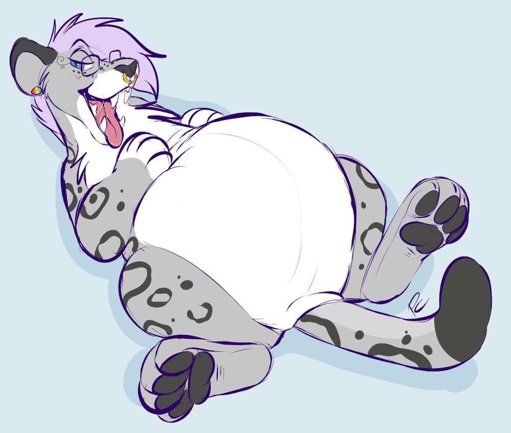 A snow leopard lays in its back, their back paws splayed because of its big tummy resting between. 