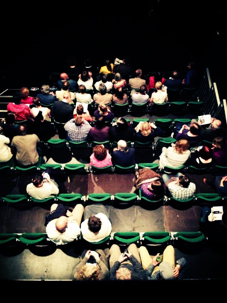 PULSE AUDIENCE FROM ABOVE