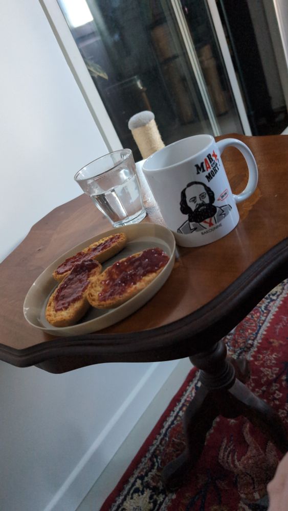 Un petite table avec posé dessus mon petit déj
3 pains toastés avec de la confiture de fraise, un verre d'eau et un mug de café avec Bakounine dessus 
