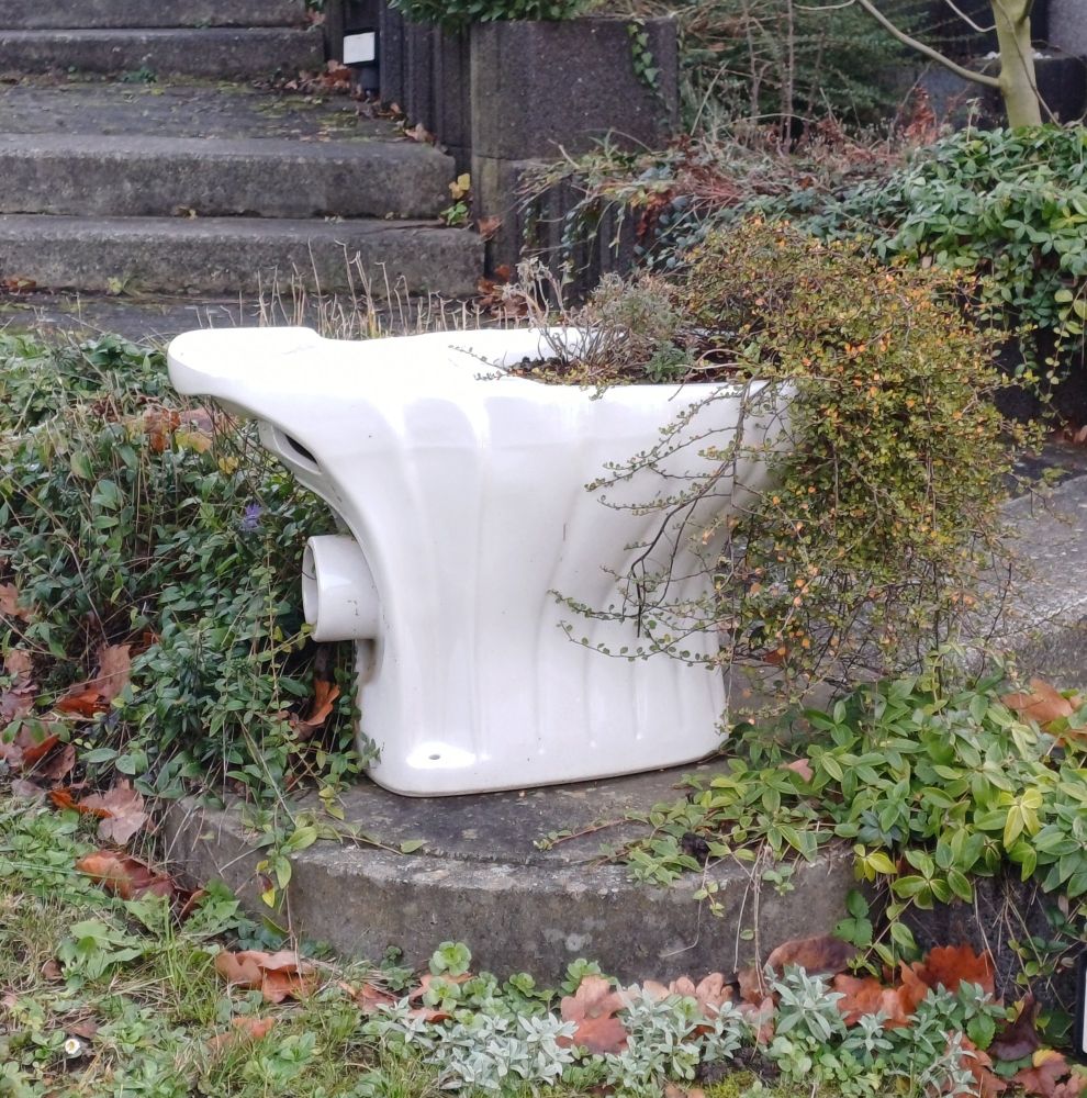 Eine weiße Porzellan-WC-Schüssel in einem Vorgarten mit Bepflanzung 