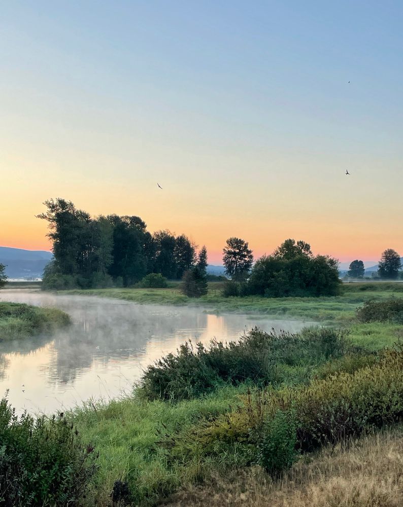 The quiet green Vista harbours peace as the sky glows with the breaking of dawn. 
