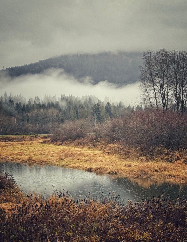 As the local river is dabbled in raindrop rings the low clouds hug the distant tree tops. 