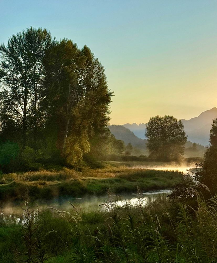 The first light of the day hits the waterway blessing the mist away. 