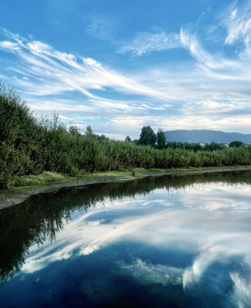 Wispy clouds are duplicated in the Lagoon amidst blue skies with a midline of lush greenery! 