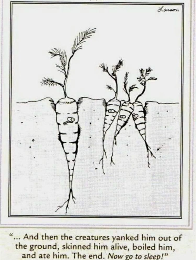 funny meme: black and white hand-drawn cartoon panel with carrots in the ground as seen in a cross-section below ground so you can see the length of them down to the root, one is large on the left and three short ones on the right, all have eyes and it appears to be a parent telling a bedtime story to their children, the caption reads: "... And then the creatures yanked him out of the ground, skinned him alive, boiled him, and ate him. The end. Now go to sleep!"
