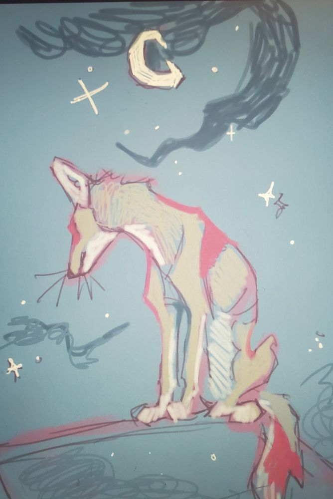 sketch of a coyote looking away from the viewer against a starry sky and a crescent moon