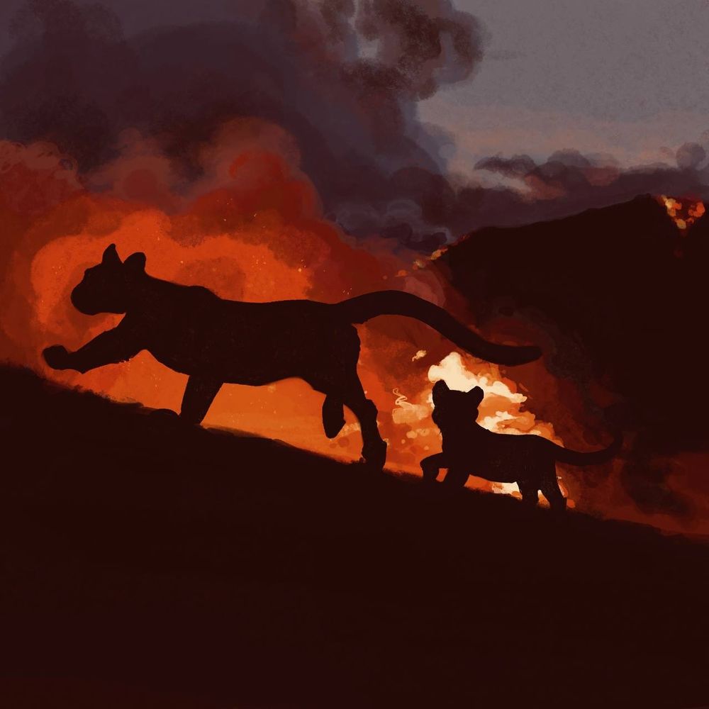A digital painting of a hilly landscape in the Los Angeles hills burning in deep orangey fires against a darkening sky. In the foreground a mother mountain lion and her cub run uphill silhouetted against the flames. The cub slows to watch the fire
