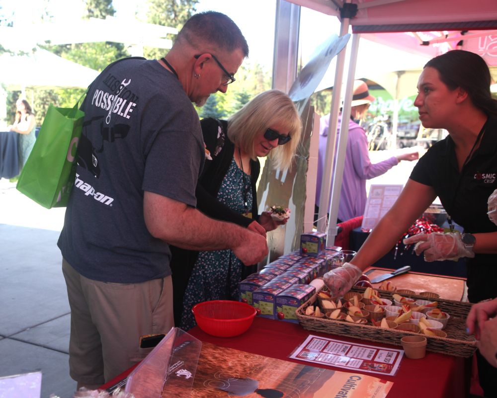 Two people lean over a table with boxes of Cosmic Crisp apples and a tray full of sliced apple samples. A person wearing latex gloves reaches into the tray. 