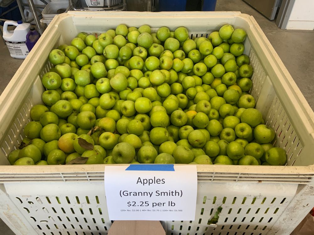 A large plastic bin filled with hundreds of green apples. A sign on the bin says "Apples (Granny Smith) $2.25 per pound."