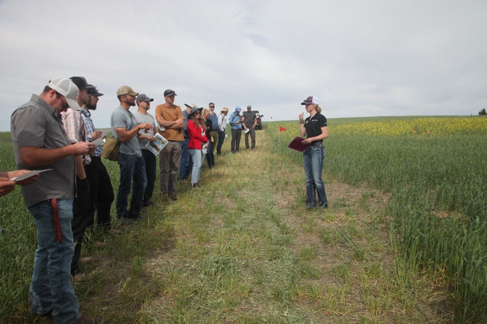 A person stands in a field holding a clipboard, speaking to a large group of people.