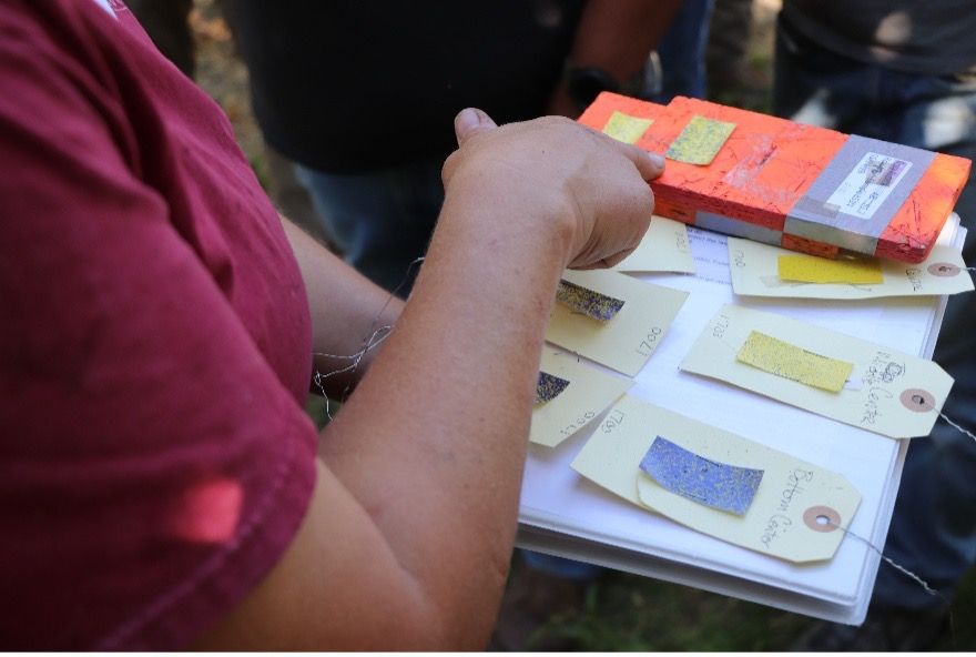 A person holds a tray covered with pieces of paper that are each different colors.