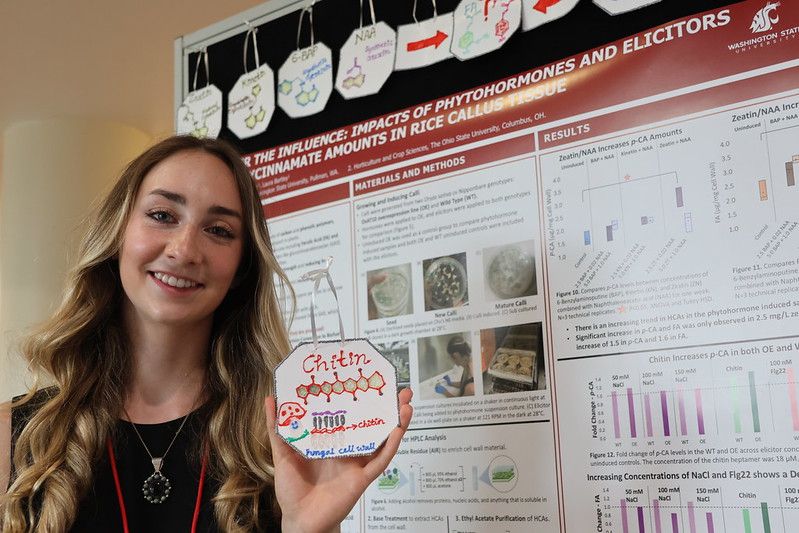 A person stands in front of an academic poster holding an octagon-shaped object with the word Chitin on it, plus a scientific drawing.