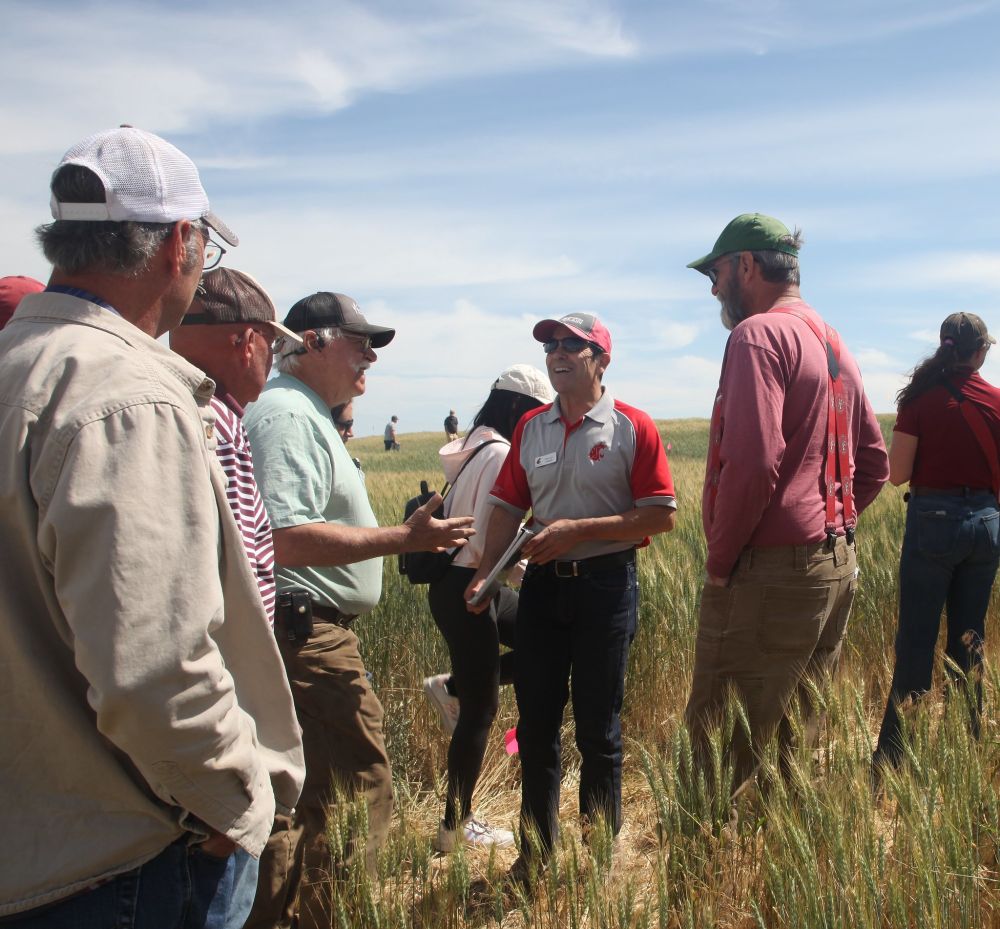 A group of several people stand in a field speaking to each other.