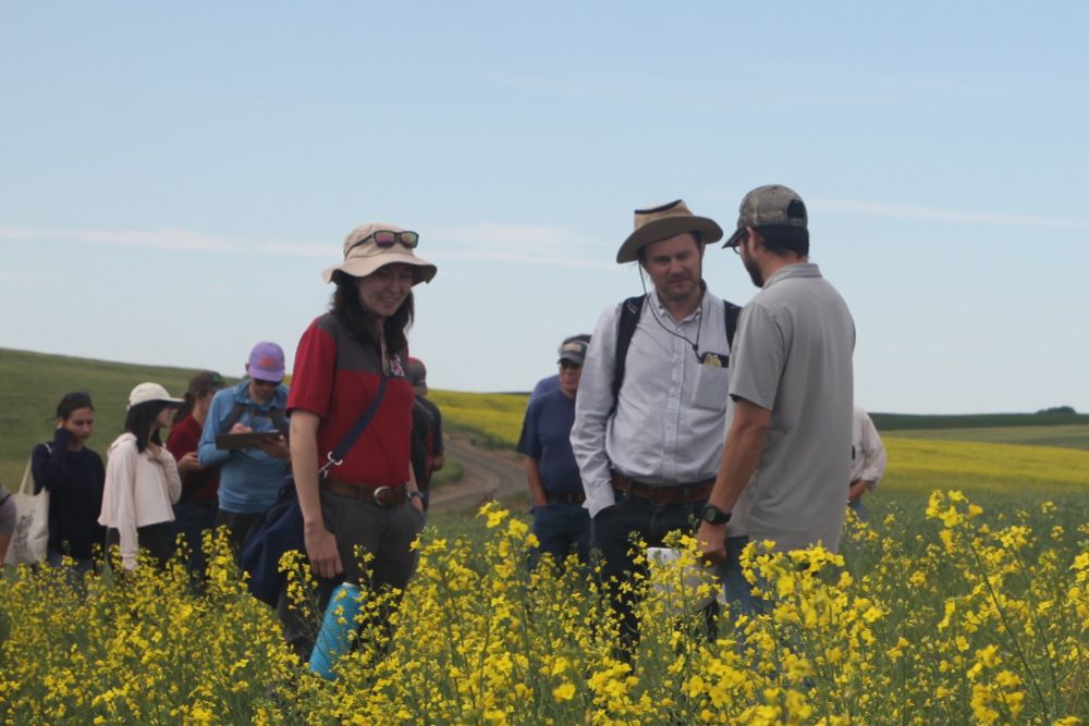 Three people stand together in a canola field. A few other people are in the background.