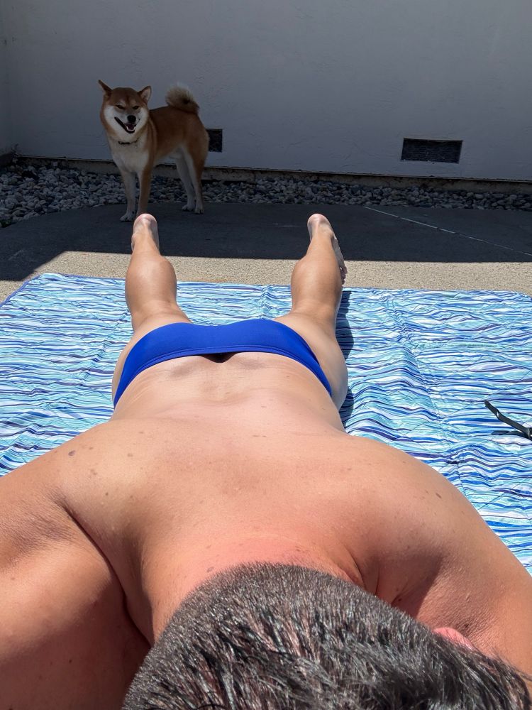 Man lying on his stomach in a blue speedo in the sun. Shiba Inu is standing in the background watching. 