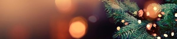 Banner photo of warm lights and pine tree leafs