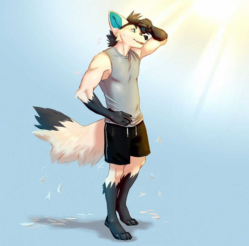 An anthropomorphic folf (maned-wolf x arctic fox hybrid) in athletic attire is clearly warm from the sun rays coming from the top right corner of the image. 
White fur flakes down from his body as he sheds off some fluff from his winter fur coat. 
Art by Jenny @thelupinprincess on FurAffinity. 
Character: Fletchel in his winter fur. 