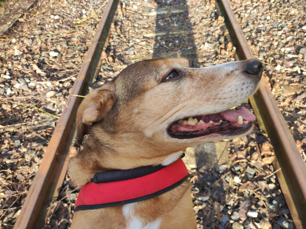 Oliva, che vorrebbe già tornare a casa, nonostante la bella giornata 2