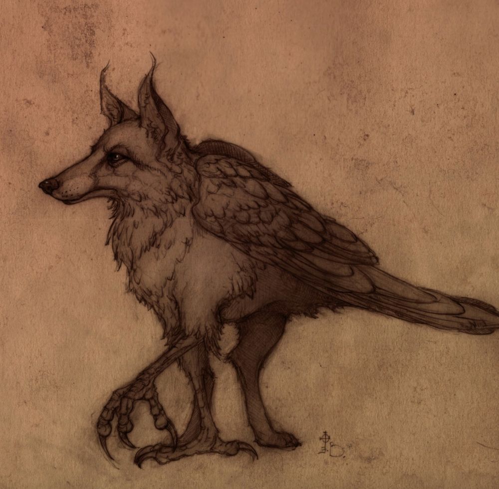 A crow-fox hybrid drawn in profile. 