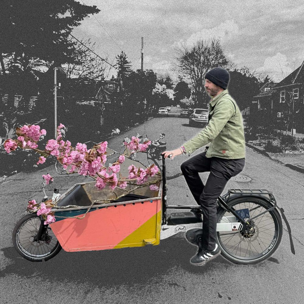 Bike Summer Vibe Coding Bicycle Ride image of JChris Anderson on a cargo bike with cherry blossoms.