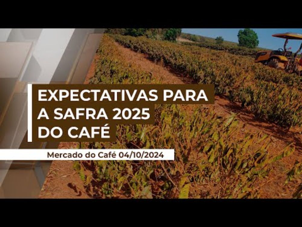 O clima seco no Brasil já afetou a produtividade da safra 2025 :: Caldeirão Político