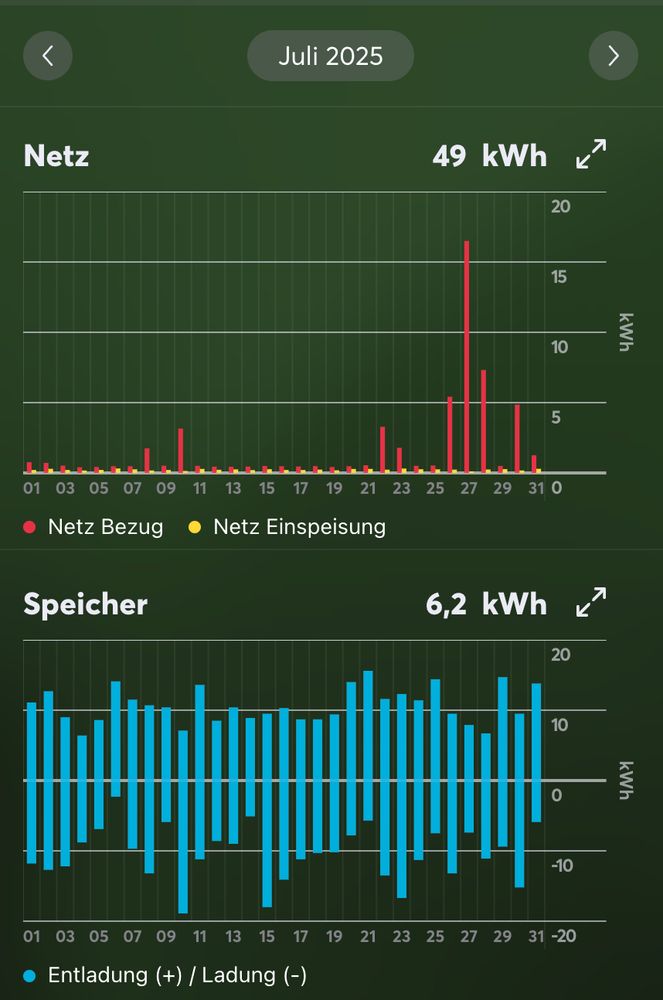 Netzbezug und Speicherauslastung