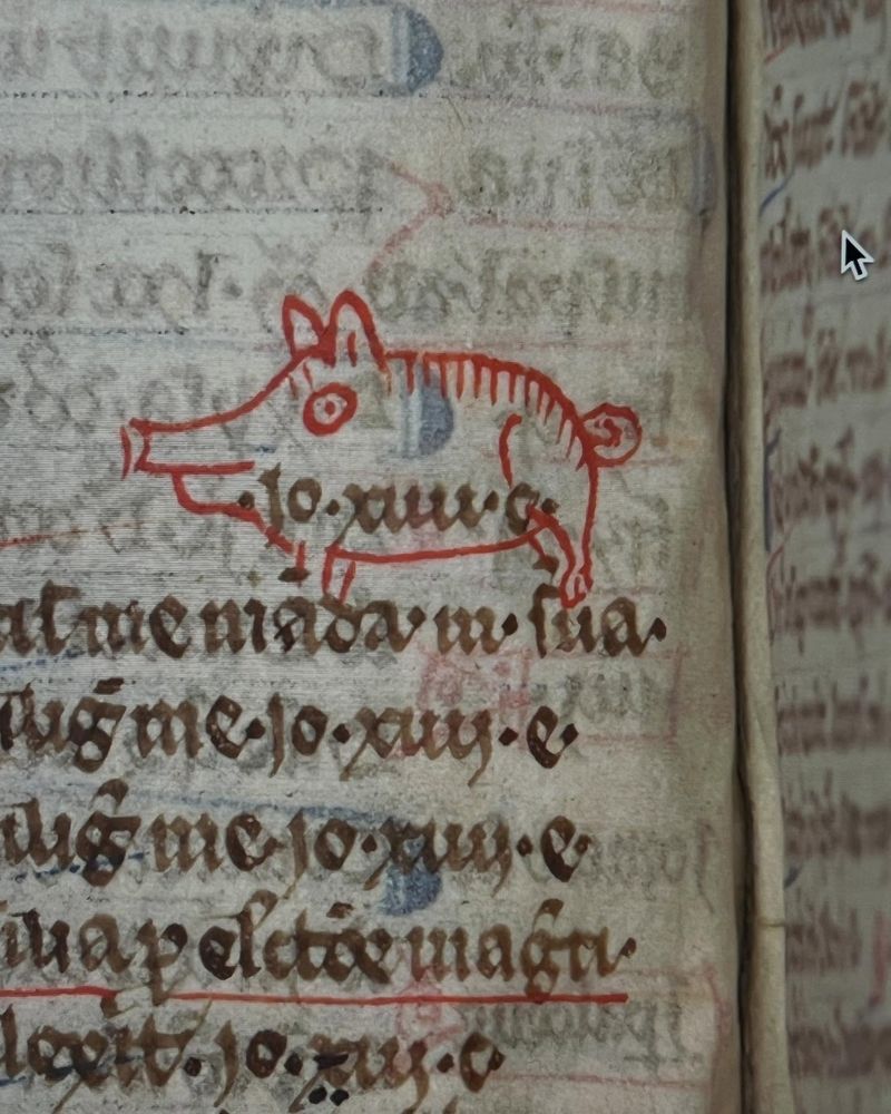 Een middeleeuws handschrift met een vrolijk rood varkentje om één van de woorden heen. Het boek bevindt zich in Huis van het Boek in Den Haag.