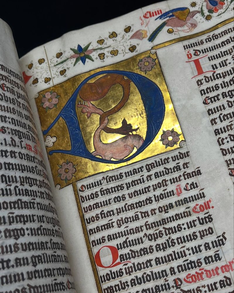 Een middeleeuws handschrift met een rijkversierd initiaal met bladgoud waarin twee slangen om elkaar heen krullen. Het boek bevindt zich in Librije Zutphen.
