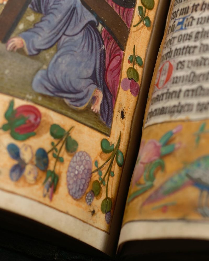 Een detail van de marges uit het handschrift: tussen bloemen en andere planten zijn kleine spinnetjes getekend.