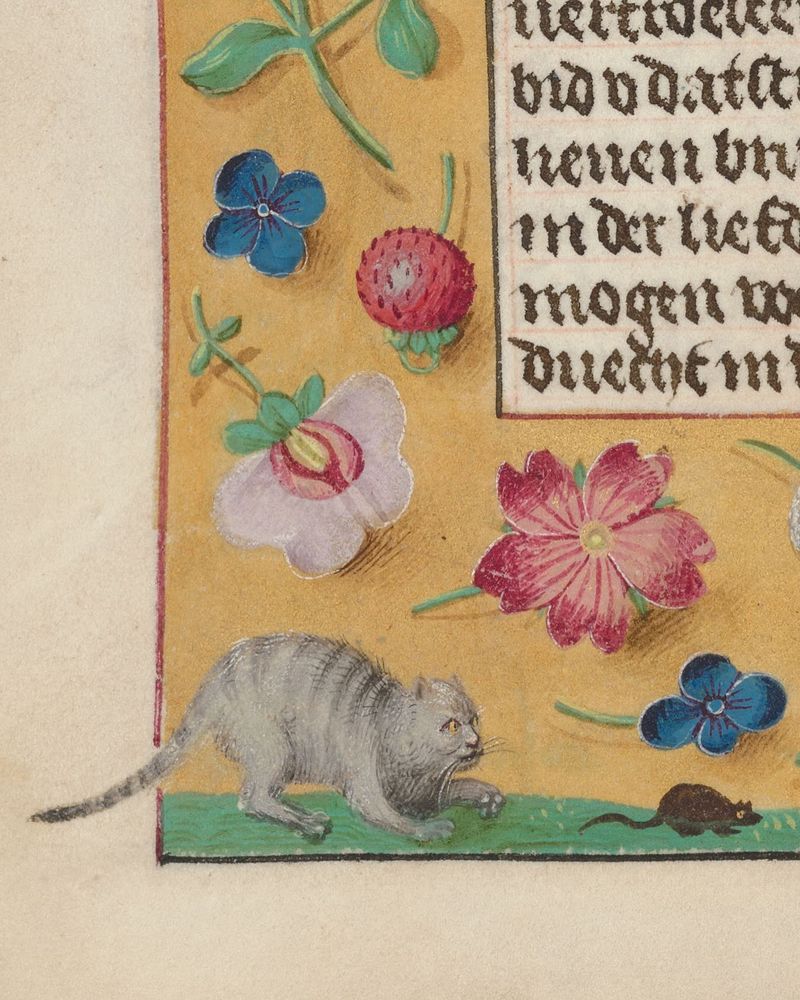 De marge van een middeleeuws handschrift. Onder een rand met planten zie je een grijze kat die achter een zwarte muis aan zit. Het boek bevindt zich in Huis van het Boek in Den Haag. 